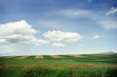 Fields in Montana Stock Photos