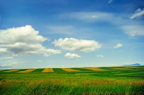 Fields in Montana Stock-Fotos