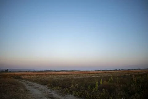 Fields in the morning 库存照片