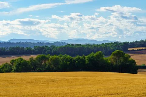 Fields with mountains at the bottom of the sky with clouds at sunset on a summer Stock Photos
