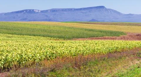 Fields mountains landscape Stock Photos
