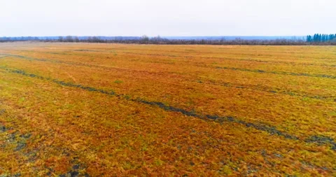 Fields, movement from a quadcopter Stock Footage 169417912