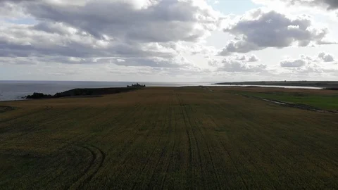 Fields near Dunnotar Castle Stock Footage 111828782