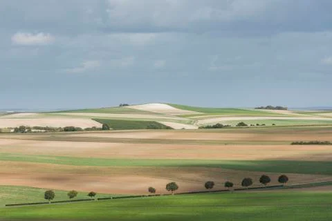 Fields near Epernay France Stock Photos