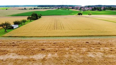 Fields near a rural road 動画素材 161658726