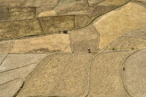 Fields in nepal Stock Photos