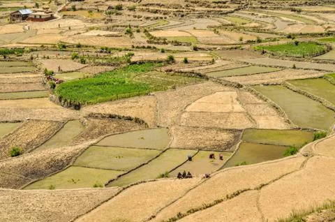 Fields in nepal Stock Photos