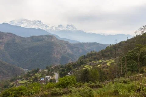 Fields in Nepal Stock Photos