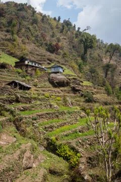 Fields in Nepal Stock Photos