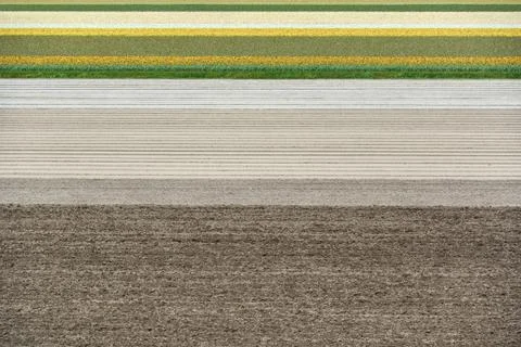 Fields in Netherlands Stock Photos