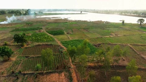Fields by Ouaga's lake Stock Footage 80366806