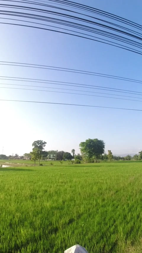 Fields on the outskirts of town Stock Footage 234476629