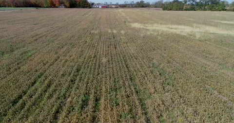 Fields over Ohio Stock Footage 146885530