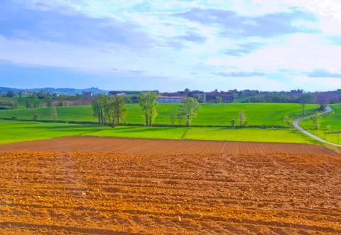 Fields Stock Photos
