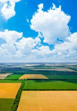 Fields. Stock Photos