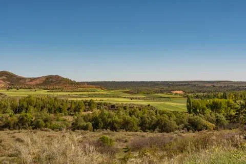 Fields planted in the vicinity of the Atazar. madrid Spain. 스톡 사진