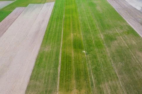 Fields in Poland Stock Photos