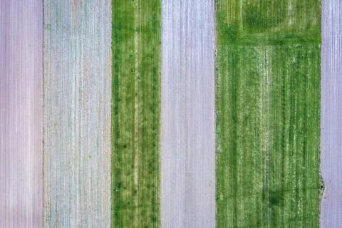 Fields in Poland Stock Photos