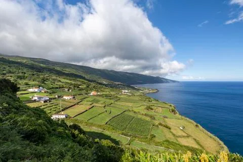 Fields in Ponta da Queimada Stock Photos