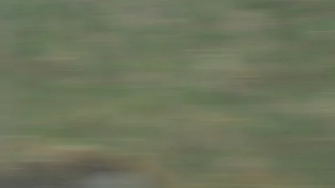 Fields Quickly Skip by Under an Overcast Sky Stock Footage 88997078