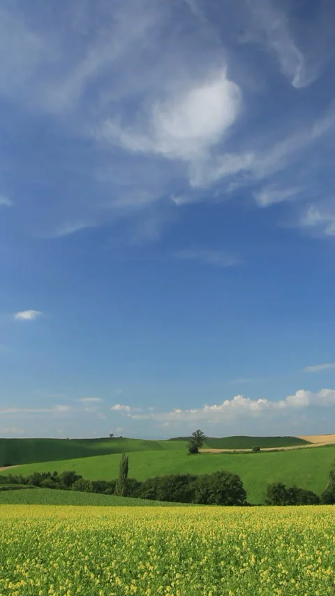 Fields of Rapeseed, Hills, and Flowing Clouds 스톡 동영상 330239642
