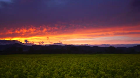 Fields of Rapeseed, Mt. Iizuna, and the Sunset Over the Mountains Vidéo 330796187