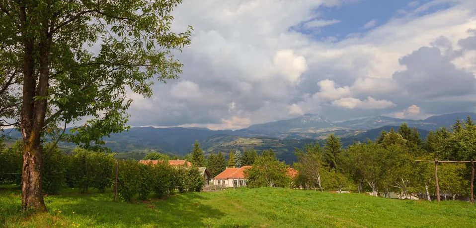 Fields of Raspberries Foto stock