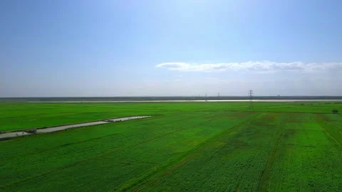 Fields, rice paddies - river plains Stock Footage 258188104