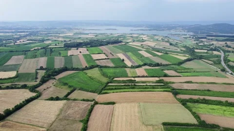 Fields of ripe golden wheat and green corn with a lake in the background Stock Footage 226545426