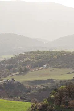 Fields, rolling hills, and birds. Ronda, Spain Foto stock