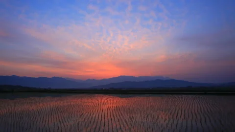 Fields of Salt at Dawn: The Rice Paddies of Shiodani, Mount Eboshi, and the Видео 330492937