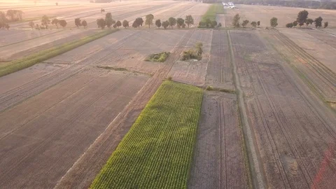 Fields seen from above. Stock-Footage 93524340