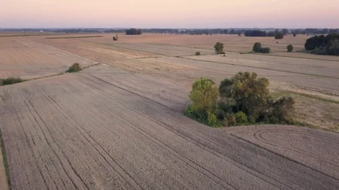 Fields seen from above. Stock Footage 93525514