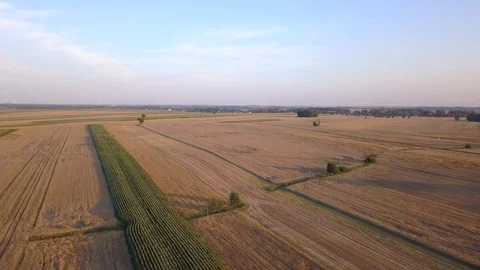 Fields seen from above. Vídeo Stock 93530108