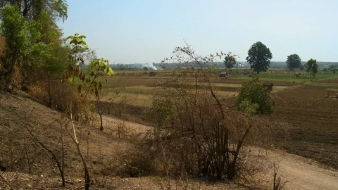 Fields seen from a hill with bushes Stock Footage 112672778