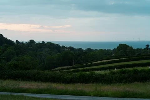 Fields with sheep in Wales Stock Photos