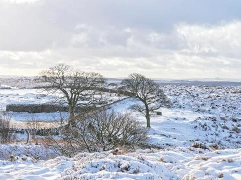 Fields of snow Stock Photos