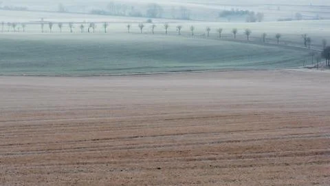 The fields in soft brown and green Foto stock