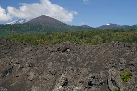 Fields of solidified lava, forest and Llaima volcano covered by clouds. Stock Photos
