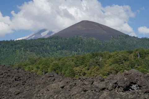 Fields of solidified lava, forest and Llaima volcano covered by clouds. Stock Photos