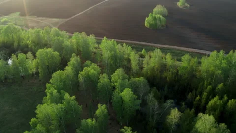 Fields for sowing fruitful crops are prepared for the season. Aerial photography Stock Footage 242220108