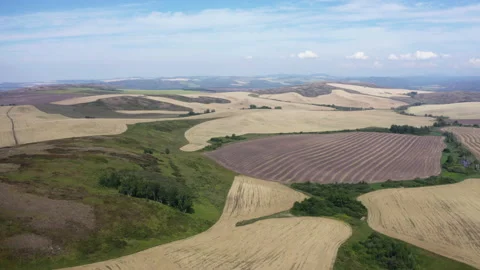 Fields sown with agricultural crops 스톡 동영상 231417652