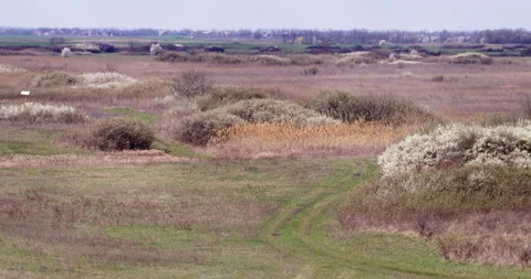 Fields in springtime Stock Footage 255677486