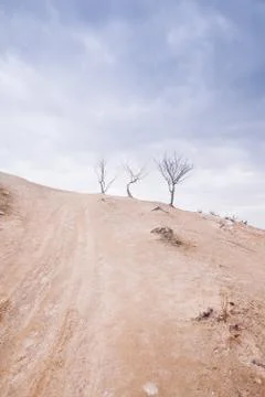 Fields, storm clouds and trees Stock Photos