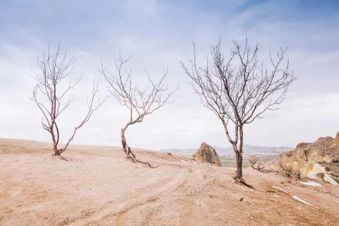Fields, storm clouds and trees Stock Photos