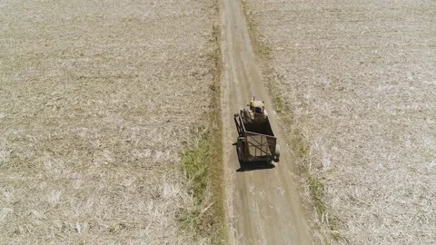 Fields of straw drying under the sun, top view. Stock Footage 201135119