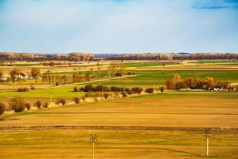 Fields stretch across the landscape with trees and power lines in view on a Foto stock