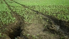 Wind erosion causing land degradation | Stock Video | Pond5
