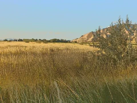 Fields at sundown Stock Photos