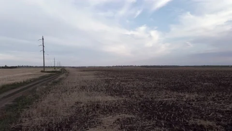Fields with Sunflowers at Dusk 库存影片 136045179